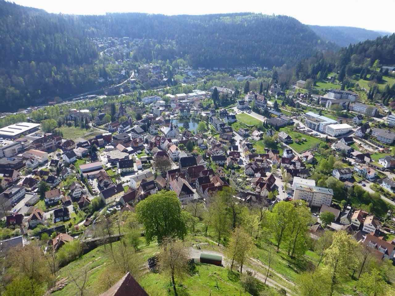 View from the keep of Burg Liebenzell down on the town in spring with forested slopes behind