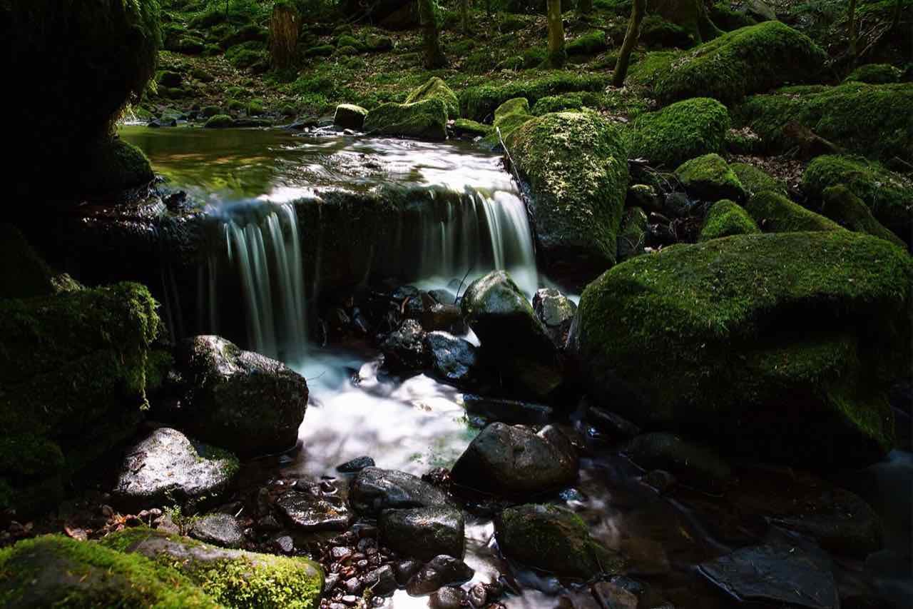 A small waterfall over moss-covered stones in the Monbach valley