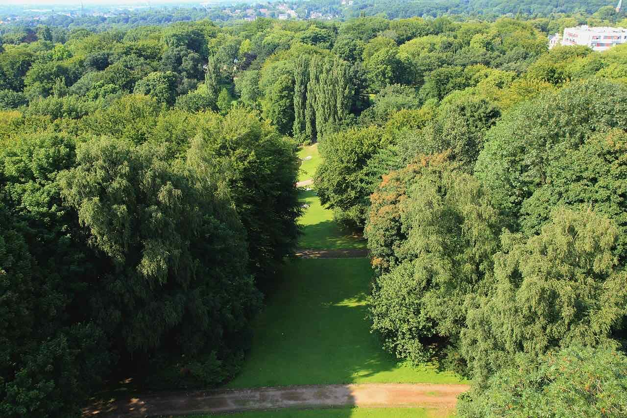 A long grass avenue running between dense green trees seen from the Bismarckturm in the Bochum Stadtpark