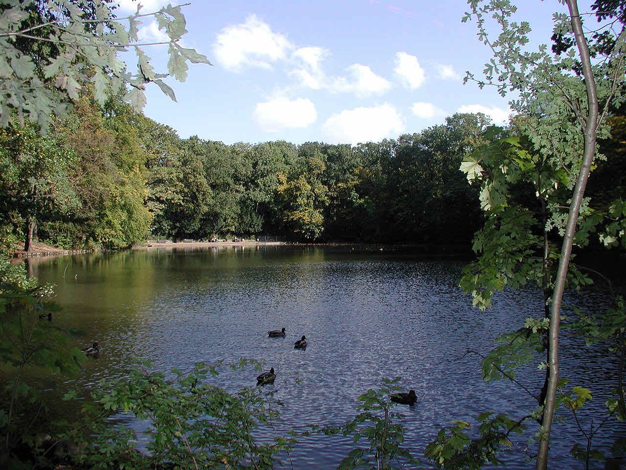 The upper small pond in the Kölner Stadtwald in Lindenthal, with trees along the water