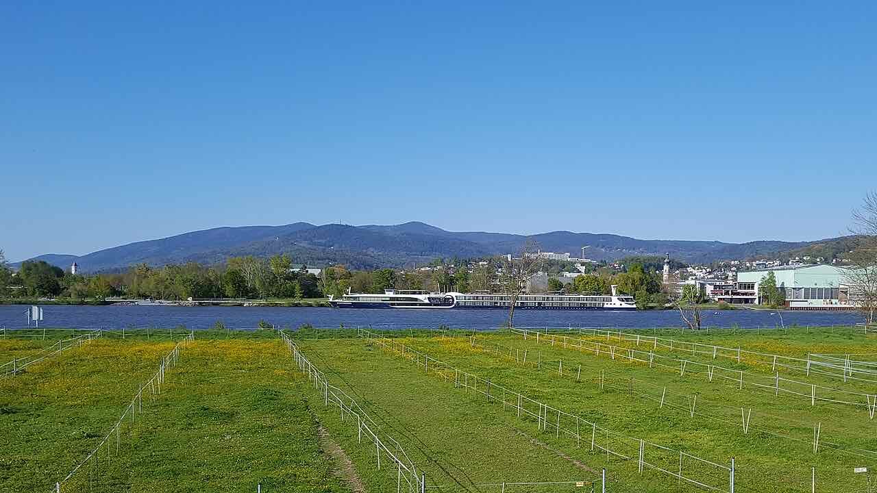The Danube at Deggendorf with a river cruise ship, green meadows in front and the wooded hills of the Bavarian Forest behind the town