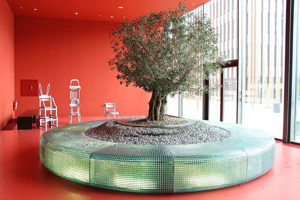 A red-walled hall inside the Dortmunder U with an olive tree growing from a ring of glass tiles and white painted chairs along the wall