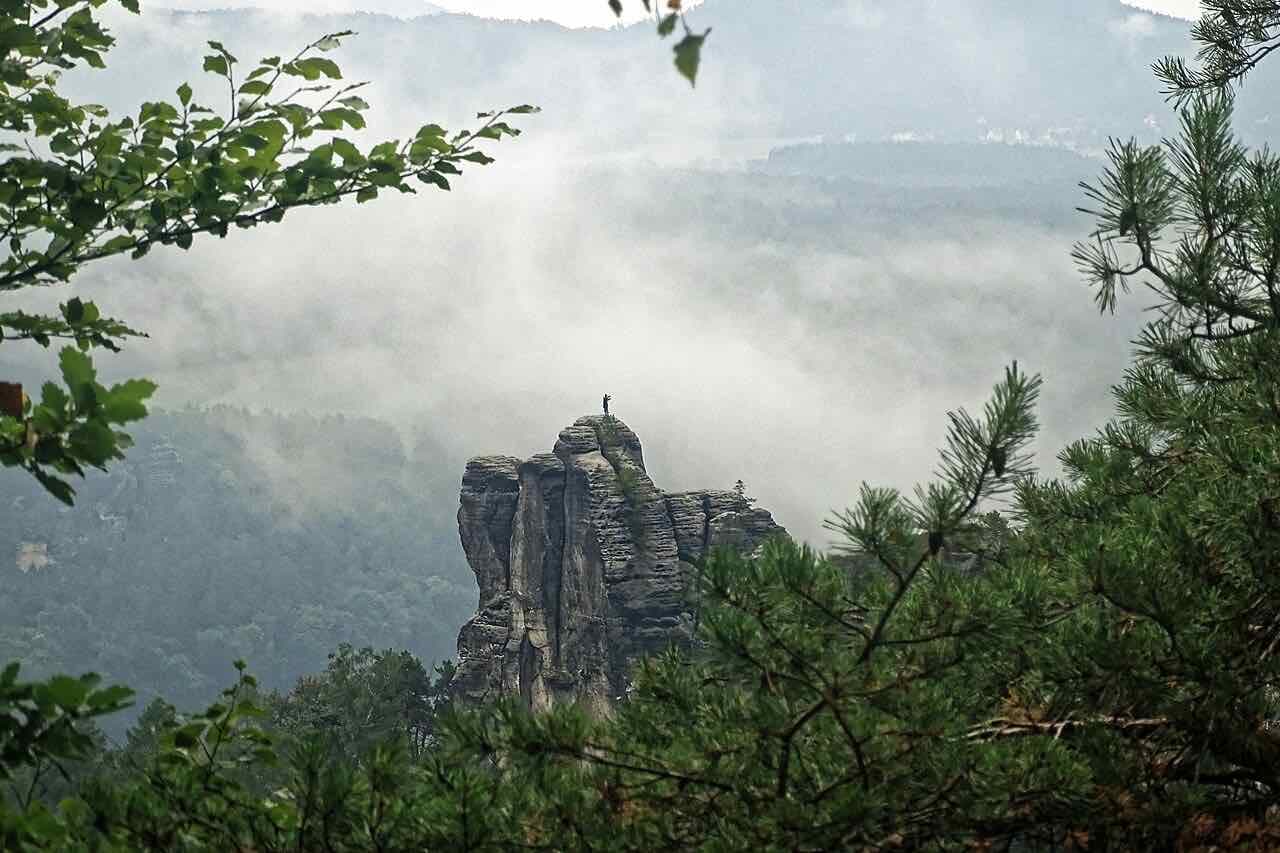 A sandstone pinnacle rising out of morning mist in the Elbe Sandstone Mountains of Saxon Switzerland, framed by pine branches