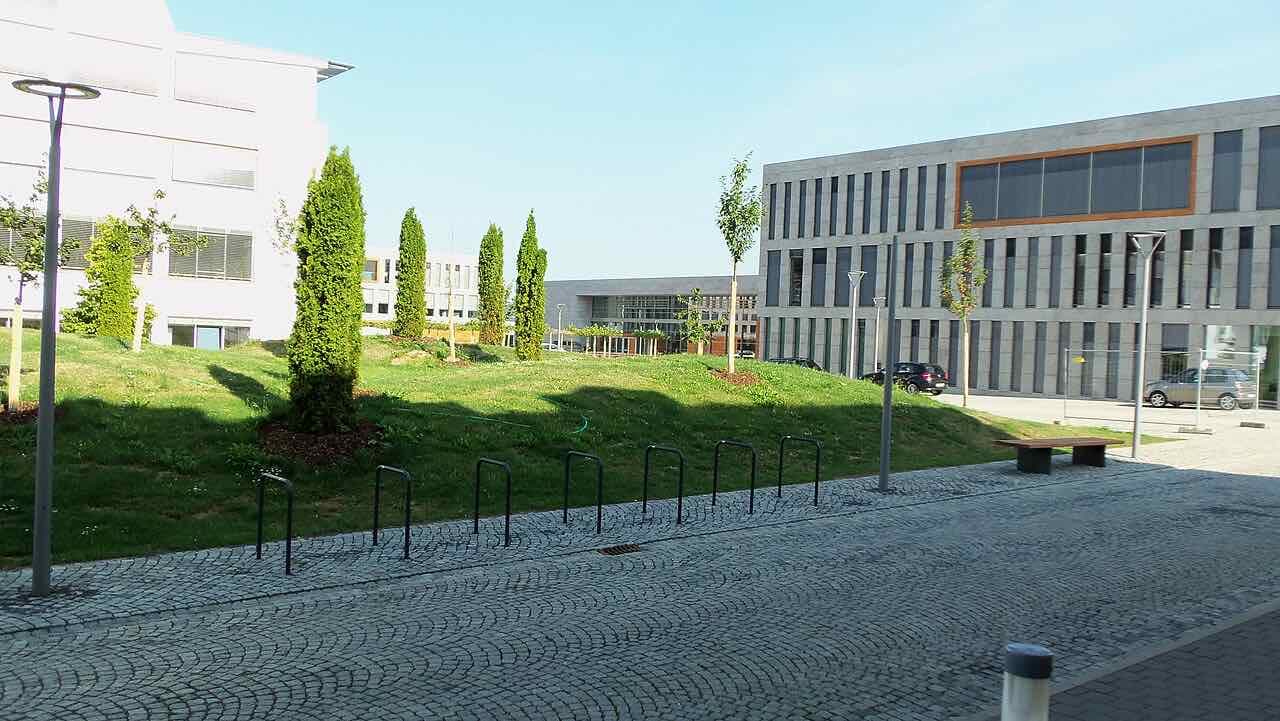 A grassy mound with young cypress trees and bike stands beside the cobbled lane between newer grey stone campus buildings