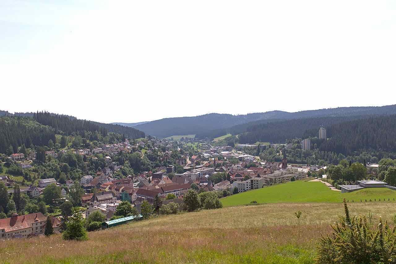 A small town of red-tiled roofs in a wooded valley, seen from a meadow on the hillside, with dark spruce forest on the slopes behind and two white high-rise blocks standing among the trees on the right
