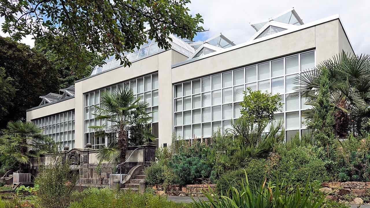 The glass-fronted palm house of the university botanical garden, with palms and shrubs in front of it