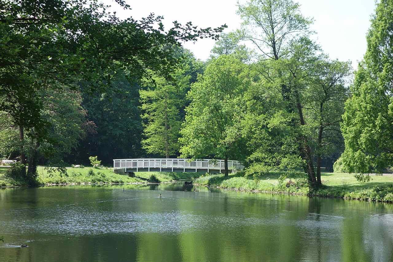 A pond in the Kurpark with a white footbridge, tall trees and a few ducks on the water