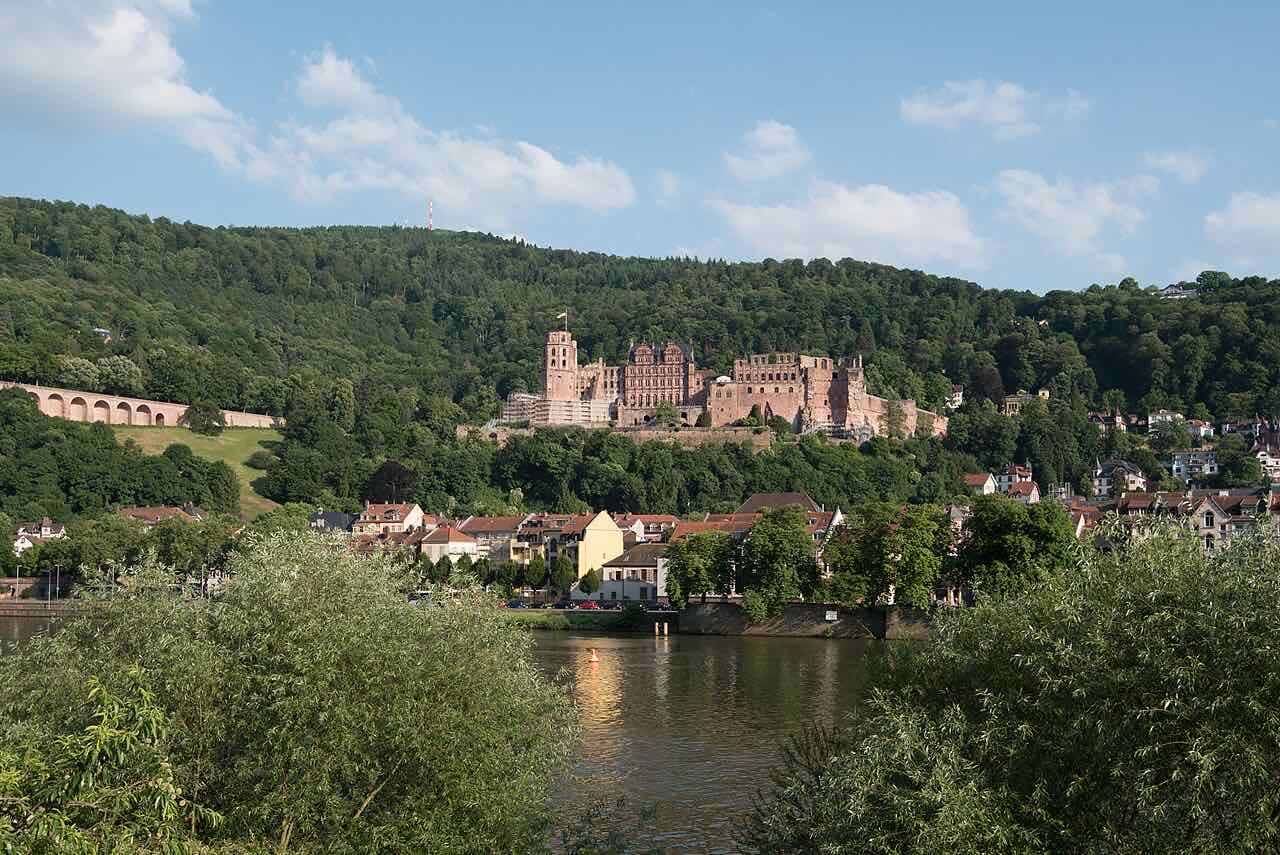 Heidelberg Castle on its hillside above the river, with the old town below and willows in the foreground