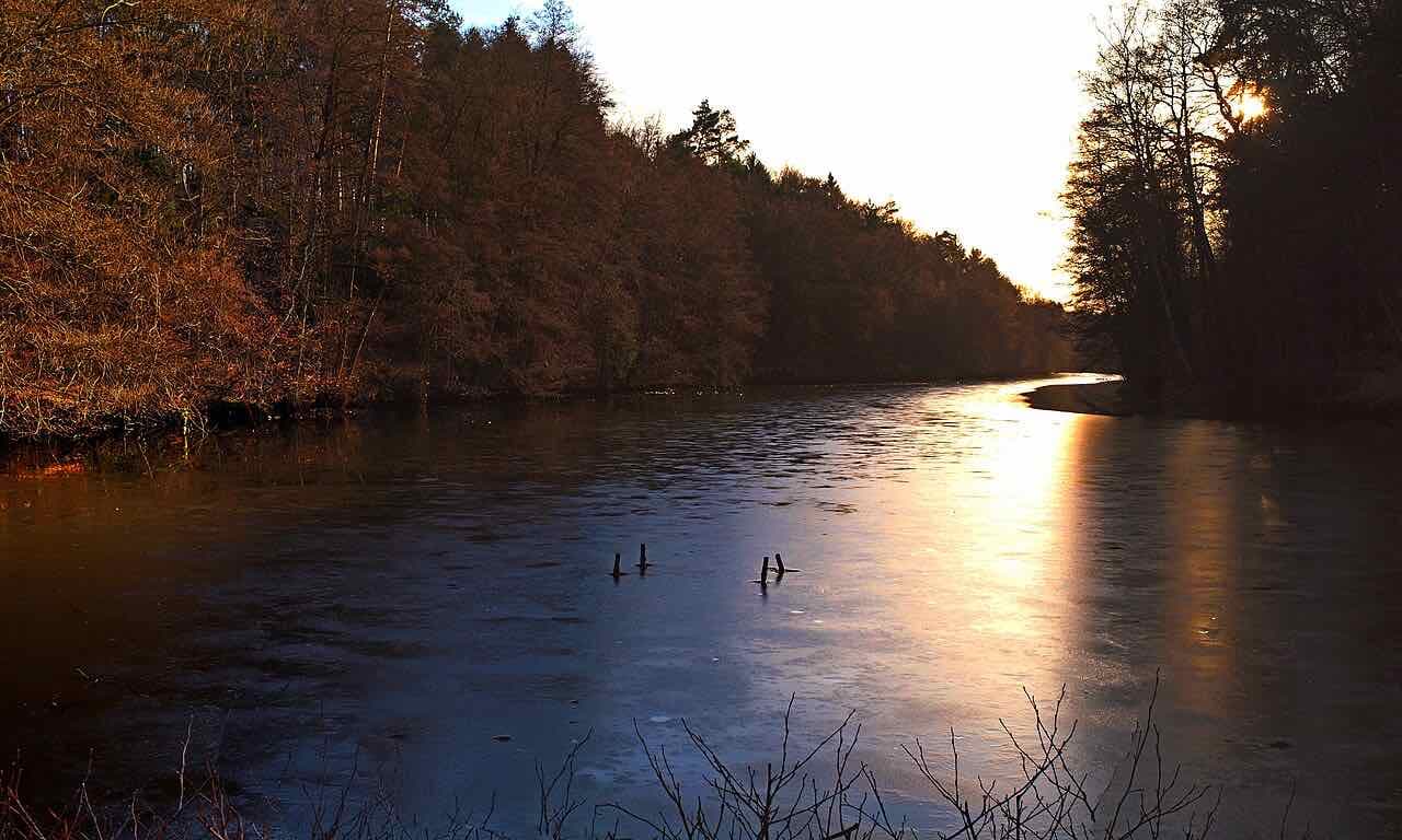 The Hammerwoog pond in the forest at low winter sun, with a thin layer of ice and bare trees on both banks