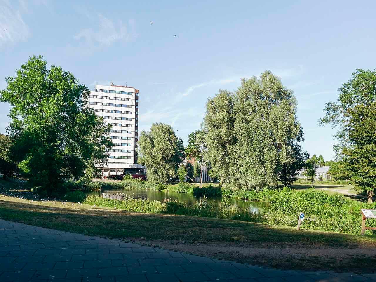 A pond with willows and reeds on the Kiel University campus, with a tall white university building behind the trees