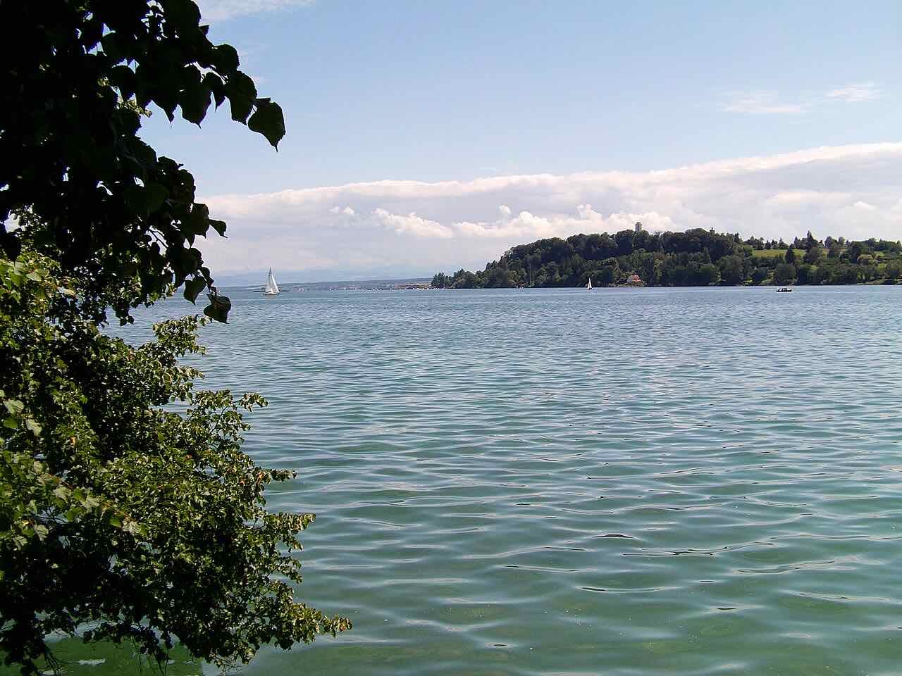 Calm blue-green water of Lake Constance seen from a shore under a leafy branch, with sailing boats and a wooded headland