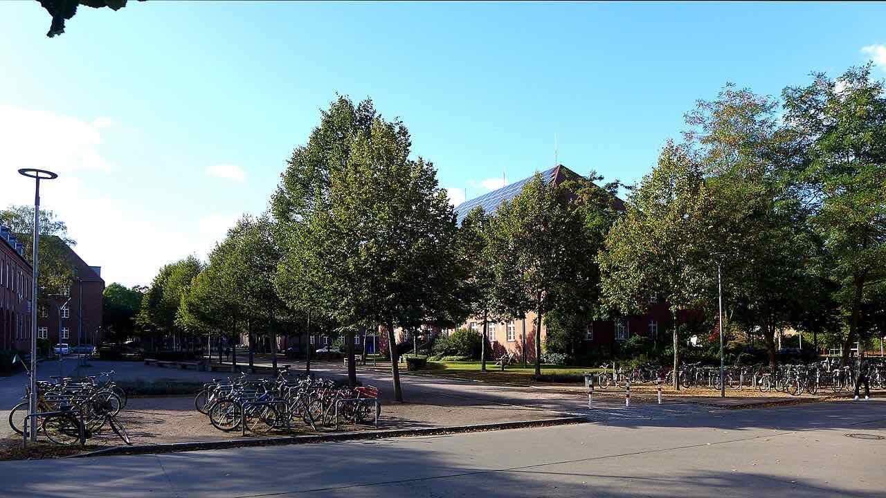 Trees, a lawn and parked bicycles in front of a red-brick Leuphana campus building with a solar-panel roof on a sunny day
