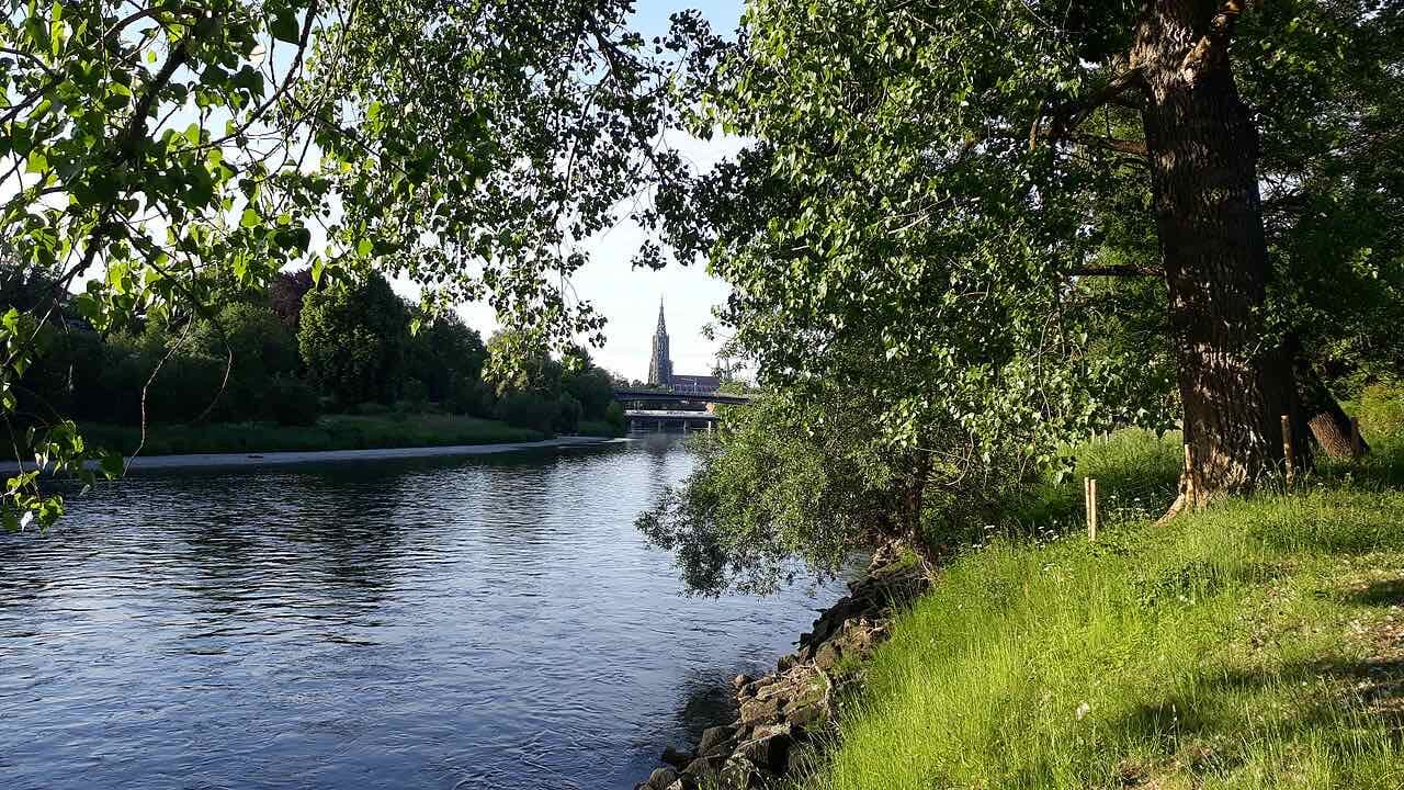 The Danube between green banks with the spire of Ulm Minster visible in the distance behind a bridge
