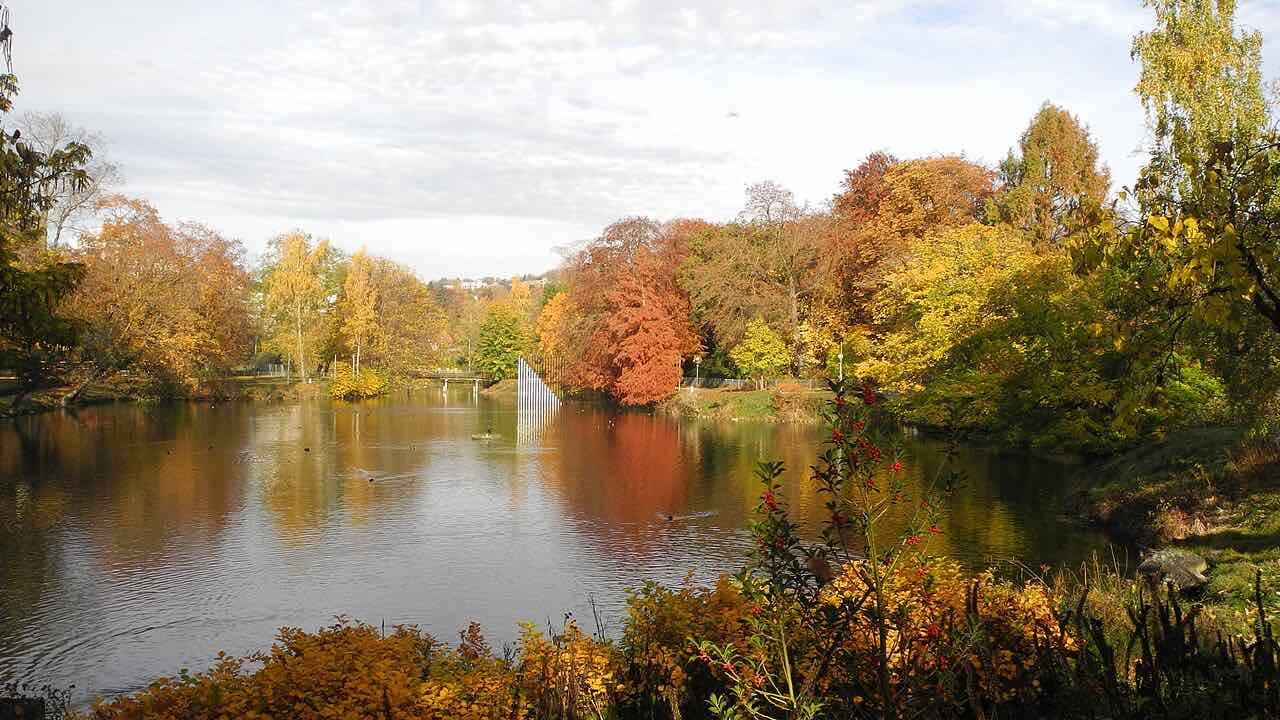 A pond in a park, ringed by trees in red and yellow autumn colours and reflecting them in the water
