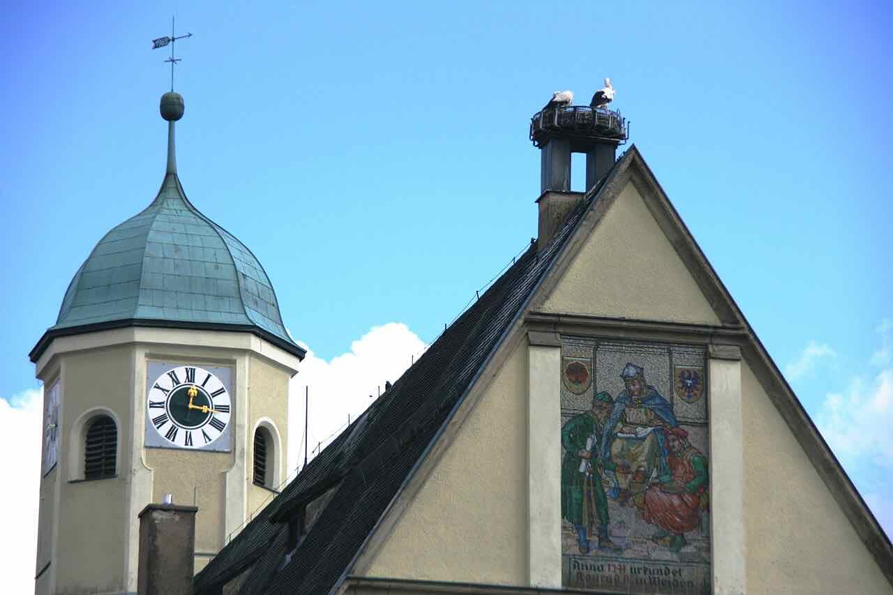 Storks standing on the roof of the Old Town Hall in Weiden