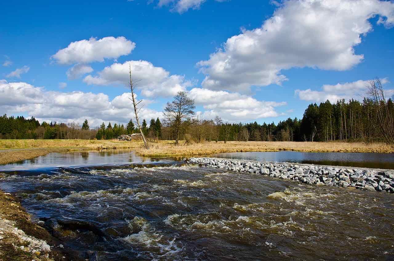 The Waldnaab river running over a stone weir through flat meadows with spruce forest behind and white clouds in a blue sky