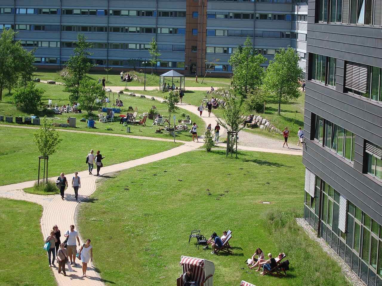 Students walking and sitting in deckchairs and a beach chair on the grass between university buildings on the Flensburg campus on a sunny day