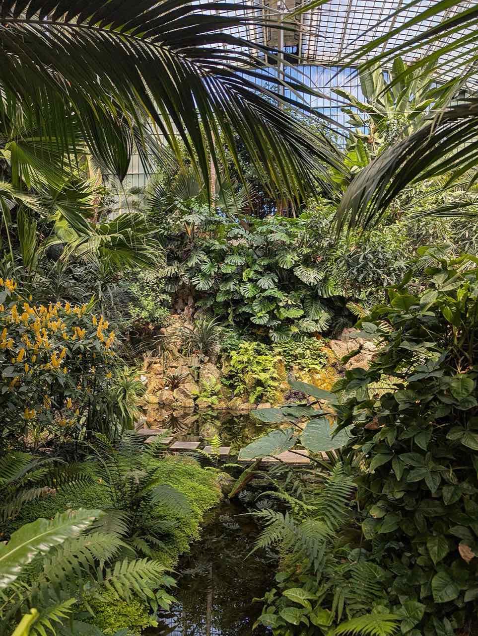 The glass palm house of the Palmengarten botanical garden in Frankfurt