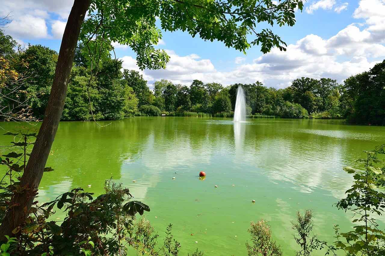 A fountain playing in the pond of the Kurpark in Bad Nauheim, with trees around the water