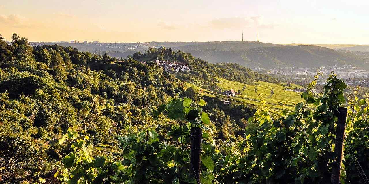 Vineyards, orchards and woods above the Neckar valley near Untertürkheim and the Rotenberg hill